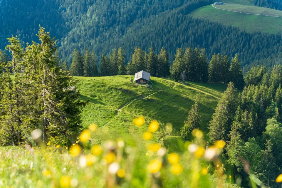 Schliersee 0001