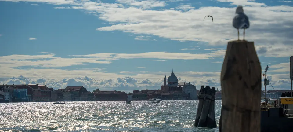 Venice 0001