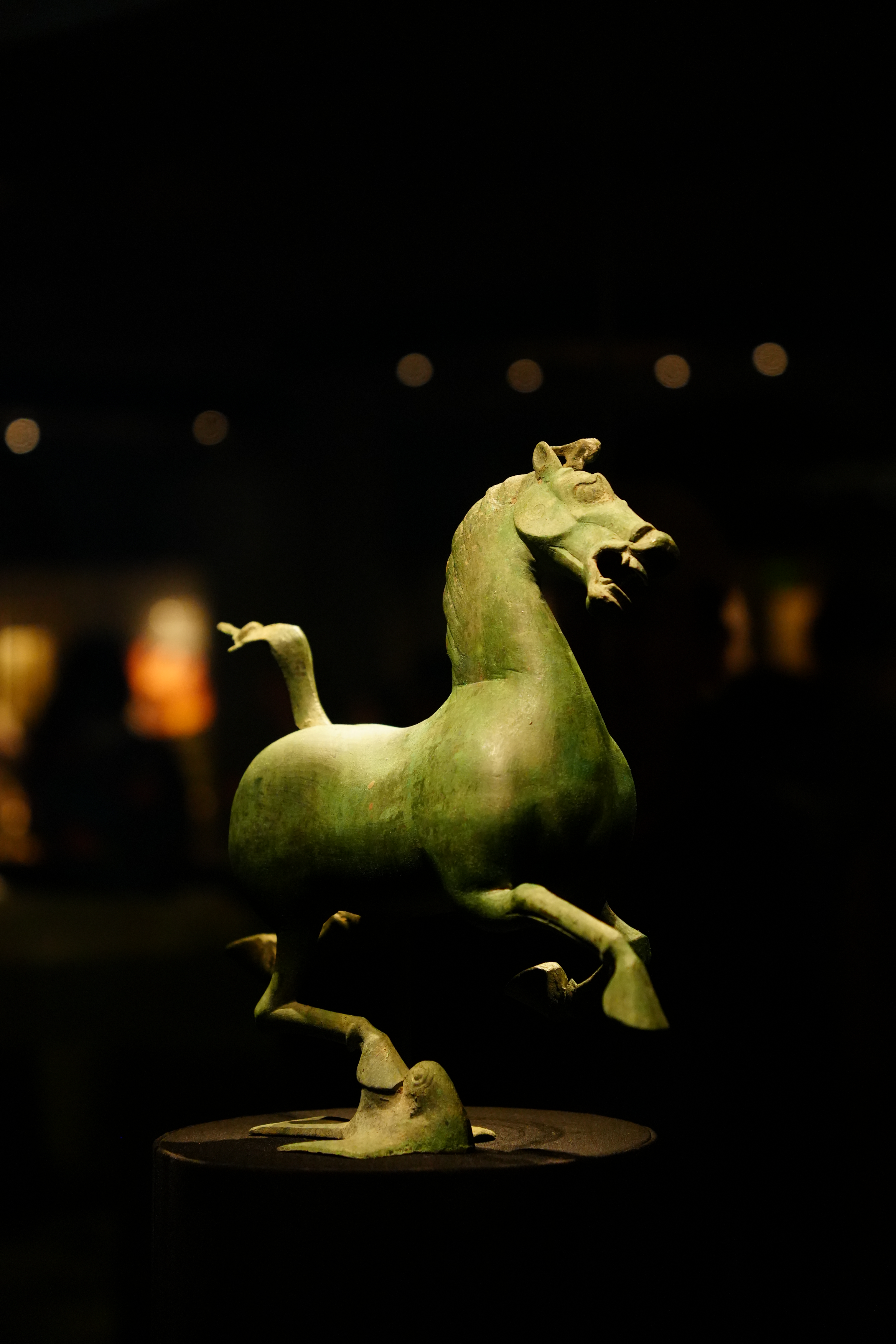 The Flying Horse of Gansu(1).png