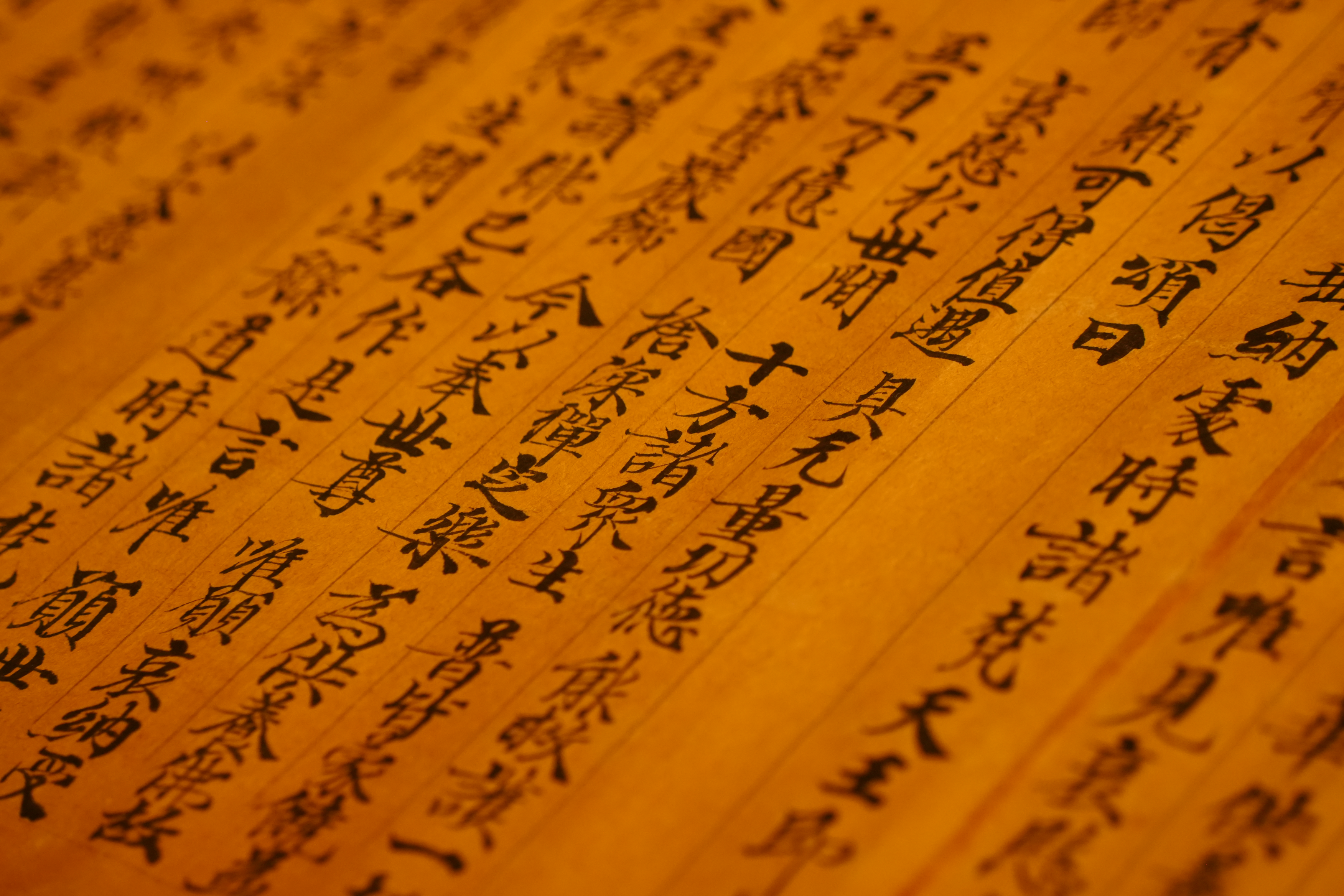 The museum of Gansu(1).png