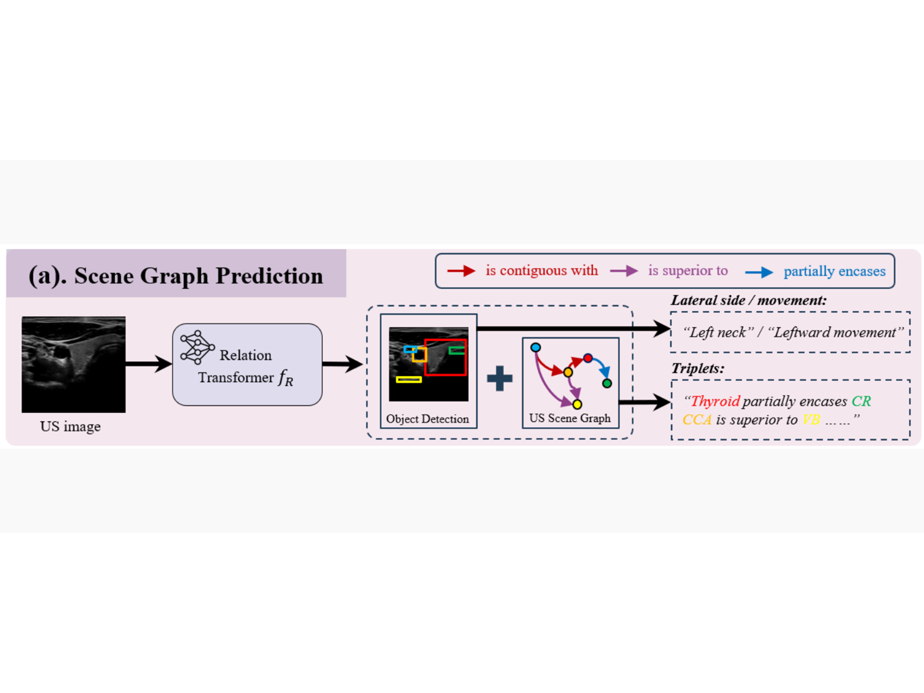 Semantic scene graph for ultrasound image explanation and scanning guidance