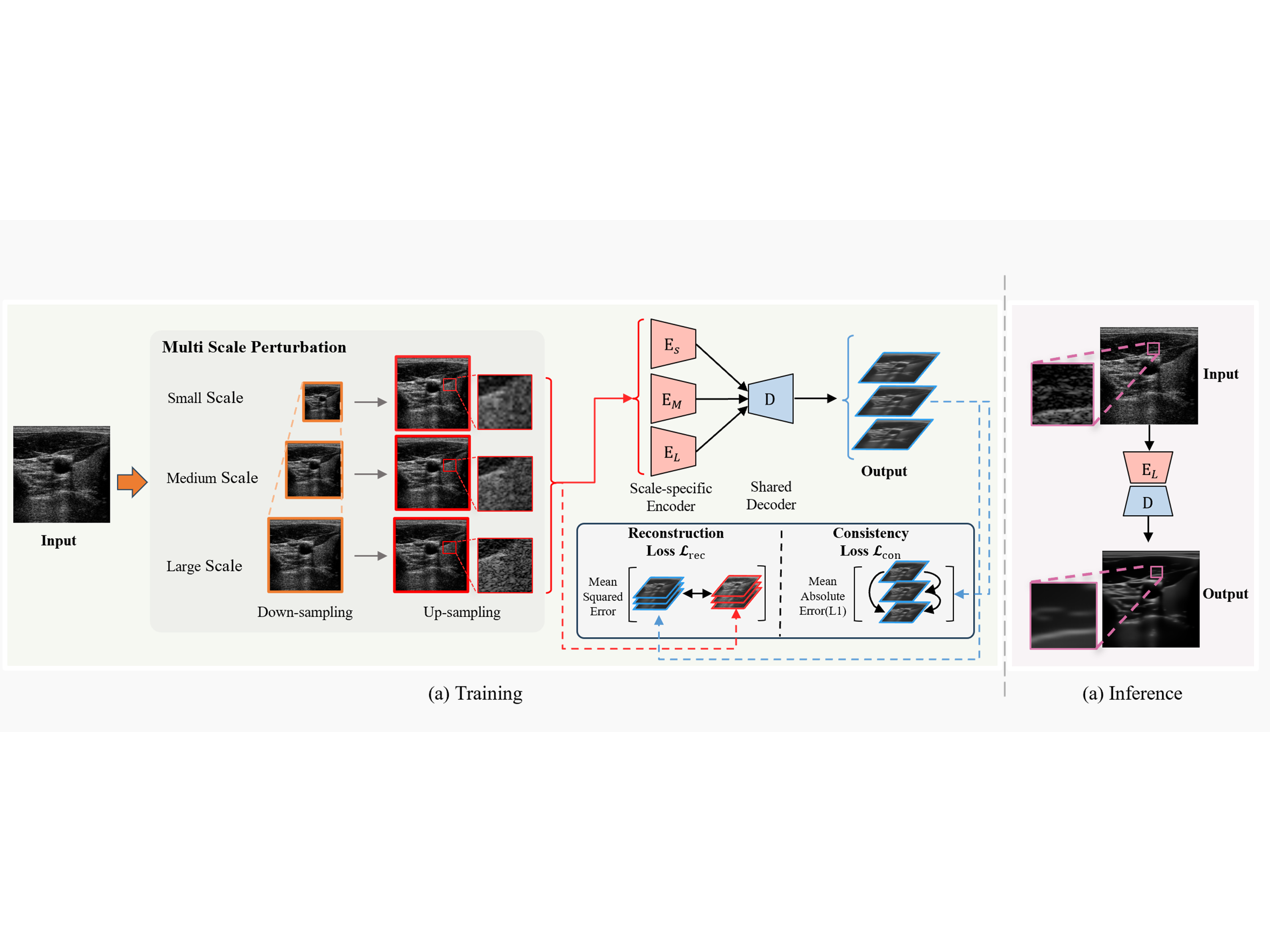Speckle2Self: Self-supervised ultrasound speckle reduction without clean data